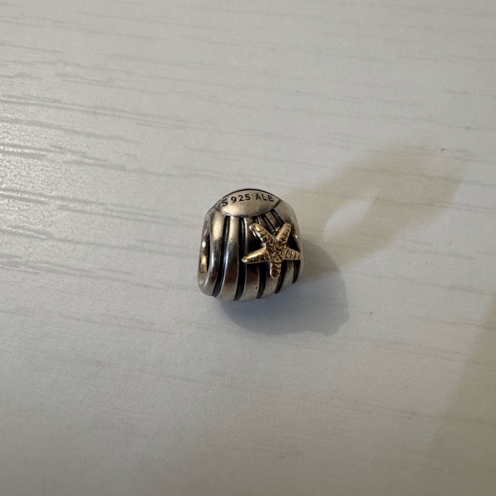 Pandora retired two toned charm